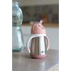 BEABA DZELZS PUDELĪTE AR SALMIŅU, 250 ML, OLD PINK