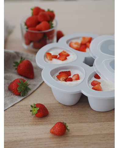 BEABA SILIKONA ZĪDAIŅU PĀRTIKAS KONTEINERIS MULTIPORTIONS, (6x90 ML), LIGHT MIST