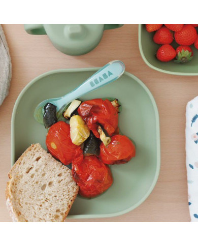 BEABA SILIKONINĖ DUGNU PRILIMPANTI LĖKŠTĖ, SAGE GREEN  