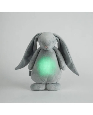 MOONIE 2.0 MIEDZIŅŠ ZAĶĒNS SILVER