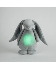 MOONIE 2.0 MIEDZIŅŠ ZAĶĒNS SILVER
