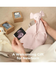 MOMCOZY MIEGA LUPATIŅA ZĪDAIŅIEM ZILONĪTIS, ROZĀ