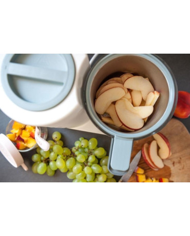 BEABA BABYCOOK BLENDERIS-TVAICĒTĀJS NEO, GREY WHITE